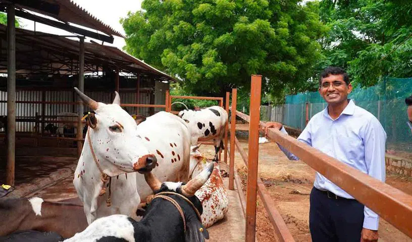 Dairy Farming
